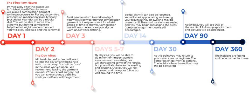 Recovery Timeline infographic