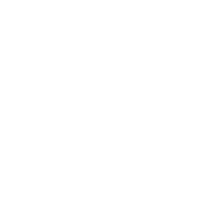 Google Review